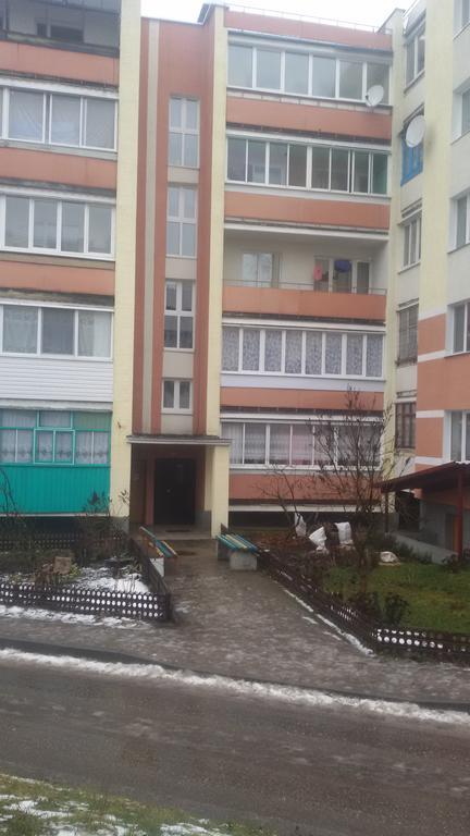 Apartments On Leninskaya Street Nyasvizh Exterior photo